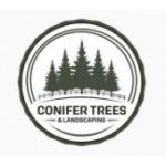 Conifer Trees & Landscaping, Enniscorthy, logo