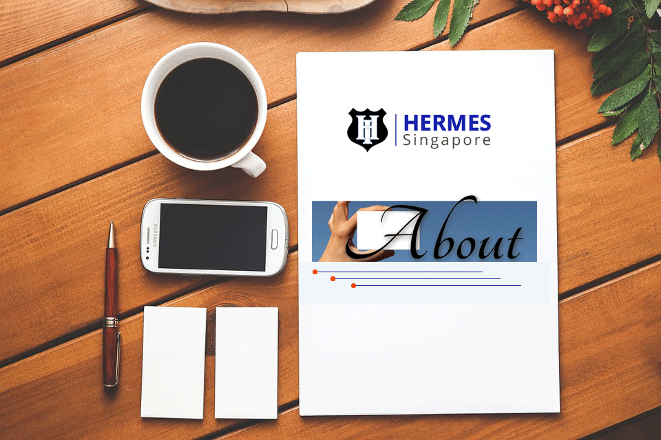 Hermes Infotech | Website Development Company in Singapore | Web Development Singapore Singapore