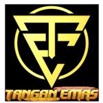 tanganemas group, Medan, logo