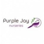 Purple Jay Peckham Rye, London, logo