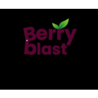 Berry Blast Media - Digital Marketing Agency in Mumbai | PPC | Social Media Marketing | SEO, Mumbai Berry Blast Media - Digital Marketing Agency in Mumbai | PPC | Social Media Marketing | SEO, Mumbai