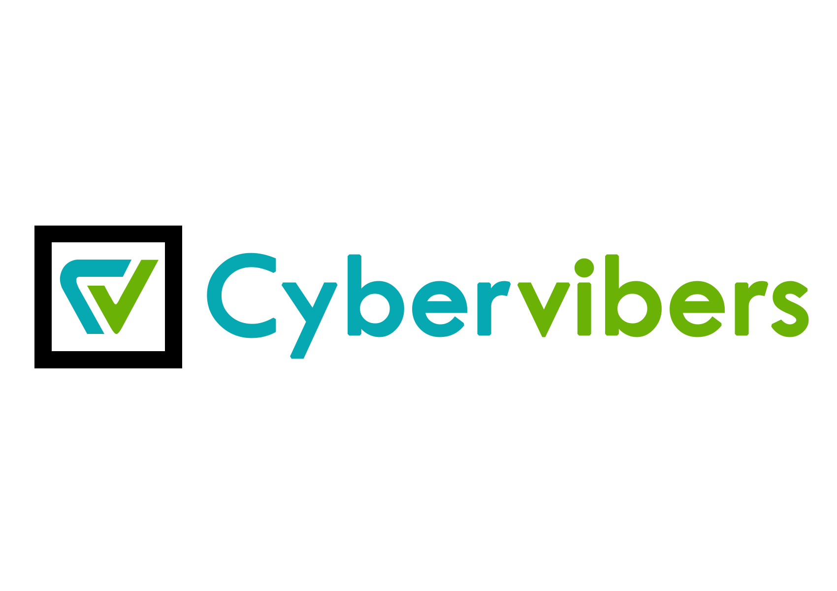 Cybervibers, Houston, TX, USA