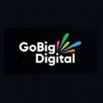 GoBig Digital Ltd, Letchworth, logo
