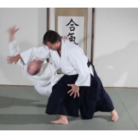 Aikido Seikokan Canada, Windsor