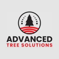 Advanced Tree Solutions, Gloucester Advanced Tree Solutions, Gloucester