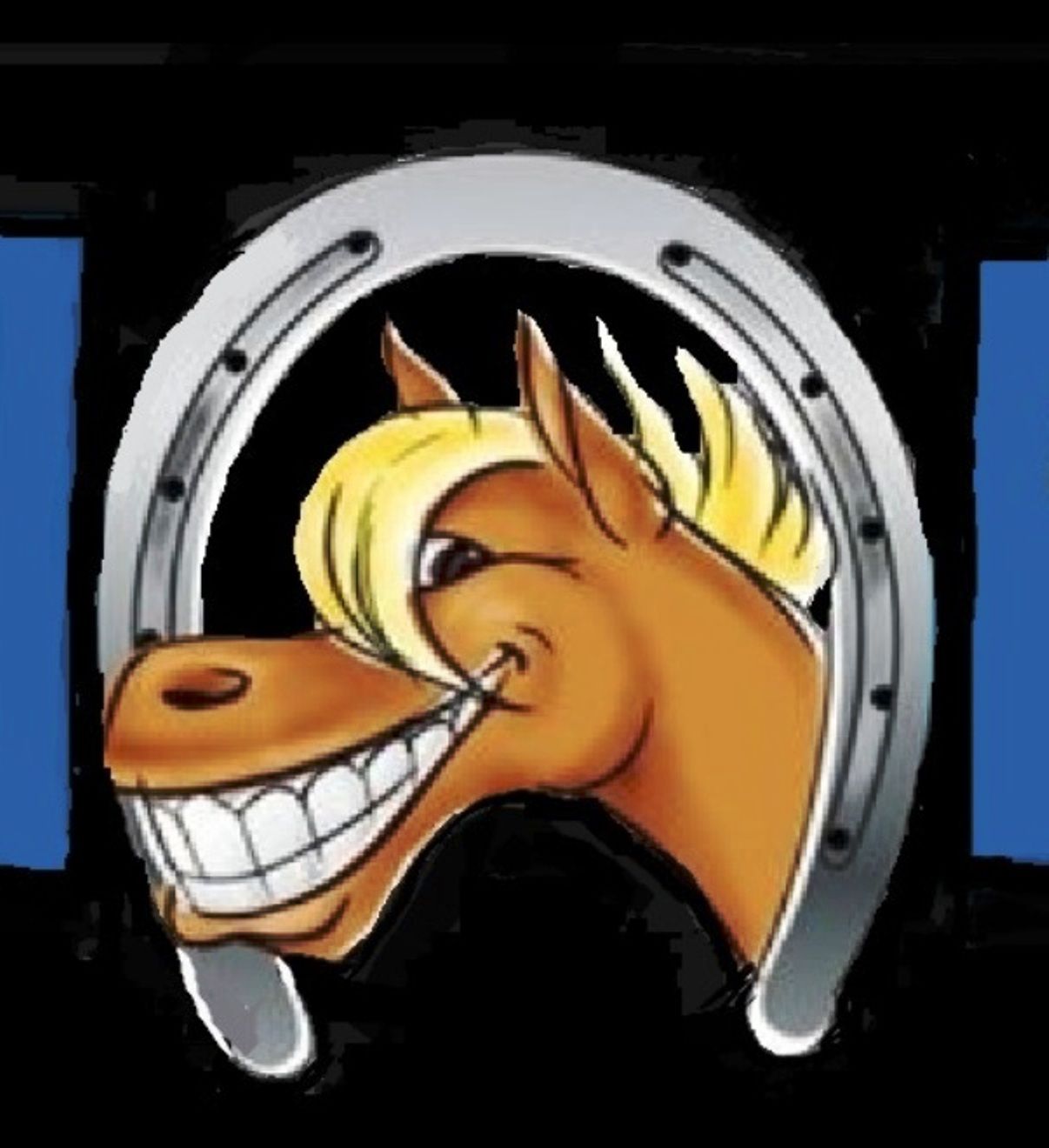 Breezy Bluff Riding Academy, McLean