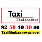 TaxiBhubaneswar, Bhubaneswar, प्रतीक चिन्ह