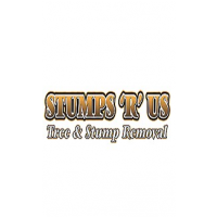 Stumps 'R' Us, St. Thomas