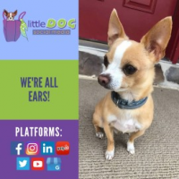 Little Dog Social Media, Cumberland