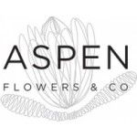 Aspen Flowers & CO, Cape Town, logo