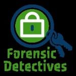 Best Detective, New Delhi, logo