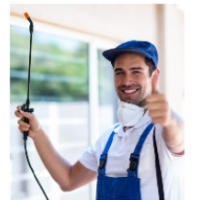 Pest Control Townsville, North Ward Pest Control Townsville, North Ward