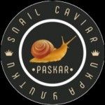 Caviar Snail, Kyiv, logo