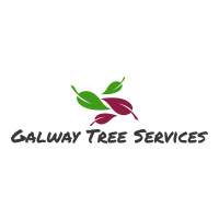 Galway Tree Services, Galway