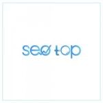 Seo Top, tel aviv, logo