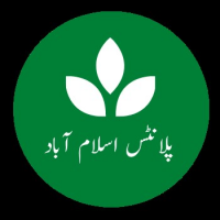 Plants Islamabad, Islamabad Plants Islamabad, Islamabad