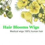 Hair Blooms Wigs (HK) Ltd, Causeway Bay, 徽标