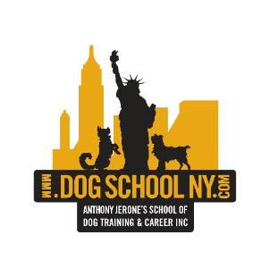 Anthony Jerone Dog Trainer, Brooklyn, NY