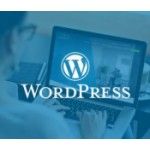 best wordpress team, jaipur best wordpress team, jaipur, प्रतीक चिन्ह