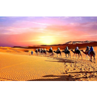 SAHARA HOLIDAY TOURS, Casablanca