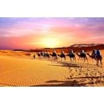 SAHARA HOLIDAY TOURS, Casablanca, logo