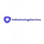 IndtechnologyServices, Kent, logo