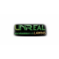 Artificial Grass - Unreal Lawns, Hamilton Artificial Grass - Unreal Lawns, Hamilton