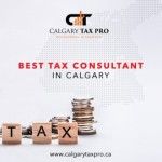 Calgary Tax Pro: CRA Audit in Calgary, Calgary, logo