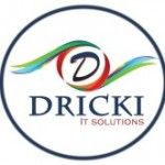 Dricki IT Solutions, Rohtak, logo