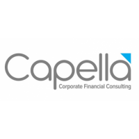 Capella Tax Consultancy LLC (Vat Specialist), Dubai,  UAE