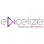 Excelize Services Inc, Costa Mesa, CA, logo