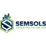 Semsols Technologies, Patna, प्रतीक चिन्ह