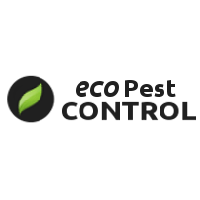 Eco Pest Control, Περιστέρι