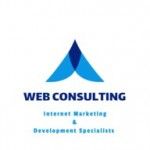 Web Consulting Agency, Dublin, logo