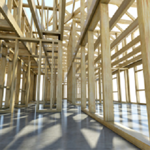 Enloe Carpentry & General Contractor Inc, Gunter, TX