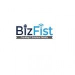Bizfist IT Solution Ltd, Surrey, logo