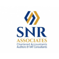Best Audit firm in Dubai - SNR Associates, Dubai