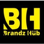 BrandzHub, Lahore, logo