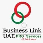 Pro Services in Dubai | Business Link UAE, Dubai, logo