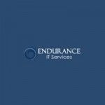 Endurance IT Services, virginia beach, logo