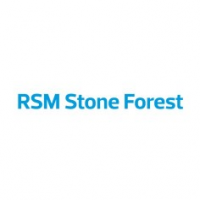 RSM Stone Forest IT Pte Ltd, Singapore RSM Stone Forest IT Pte Ltd, Singapore