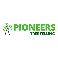 Pioneers Tree Felling, Roodepoort