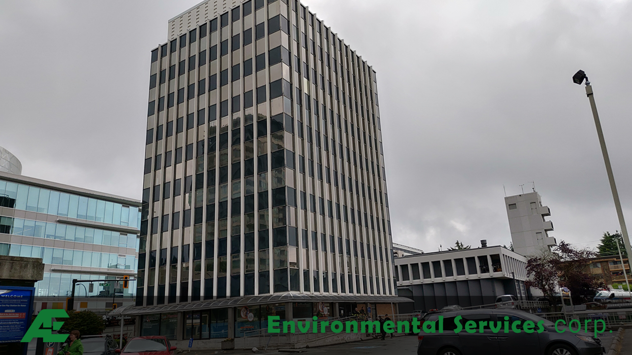 AE Environmental Consulting corp. North Vancouver 