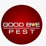 Goodbye Pest, Kolkata, logo
