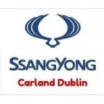 carland Dublin, Dublin, logo