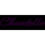 Chandelle Jewellery & Watches L.L.C, Dubai, logo