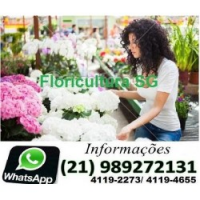 Floricultura flores123, São gonçalo