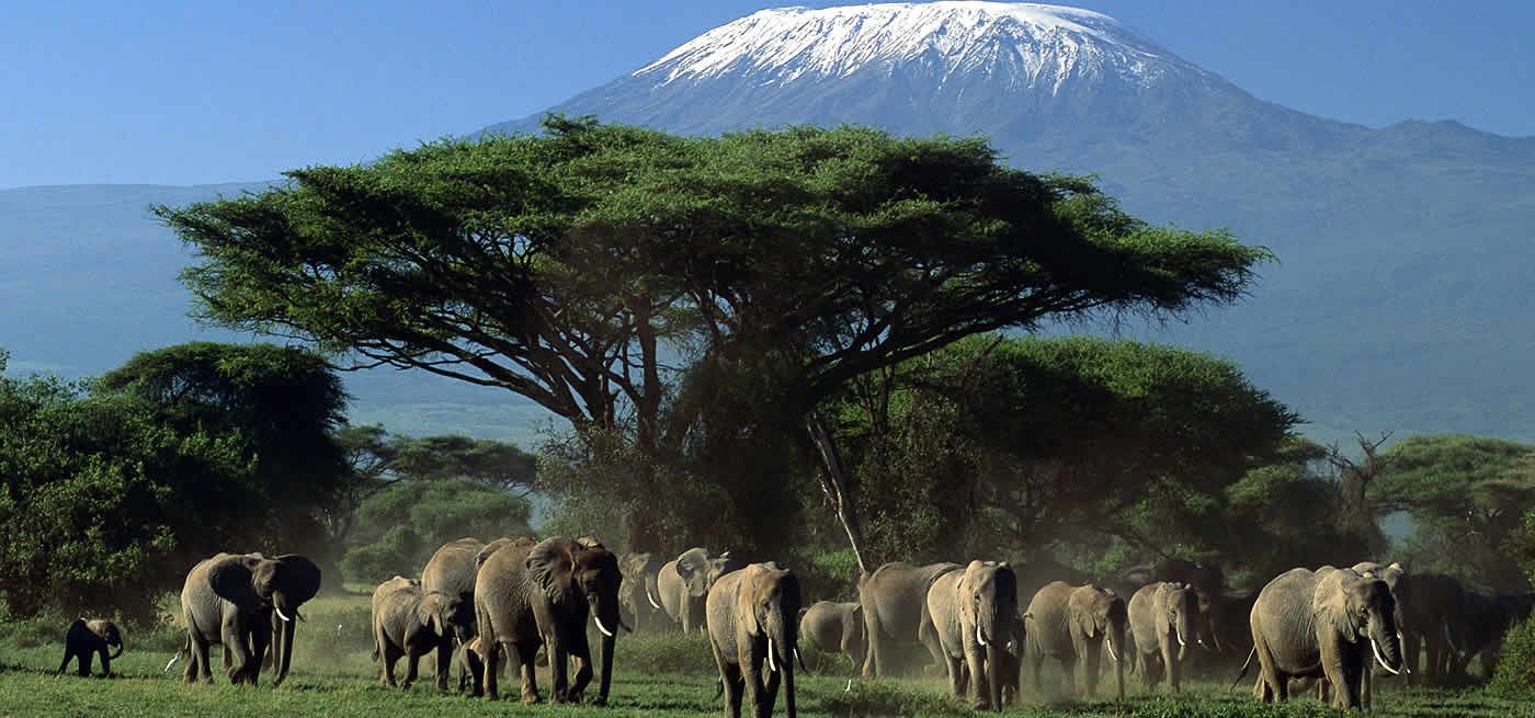3 DAYS AMBOSELI SAFARI