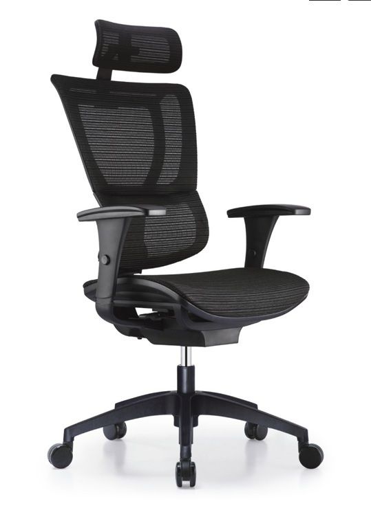 Ergonomic Chair and Executive Chair