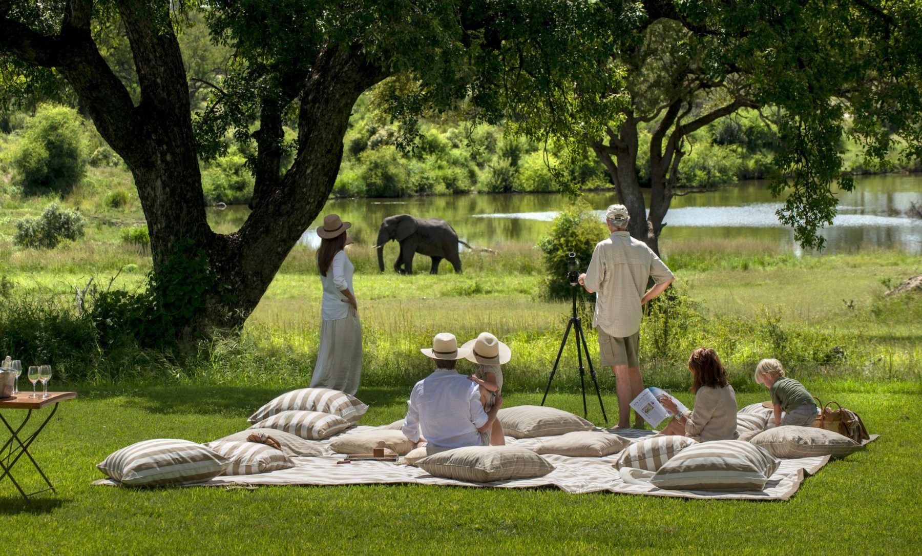 Luxury African Safari